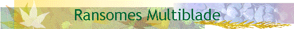 Ransomes Multiblade